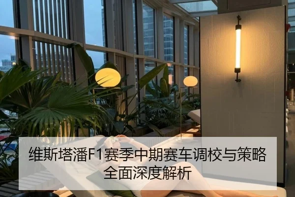 维斯塔潘F1赛季中期赛车调校与策略全面深度解析（ZOTY SPORTS）